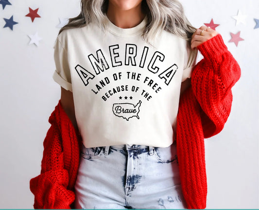 AMERICA LAND OF THE FREE TSHIRT